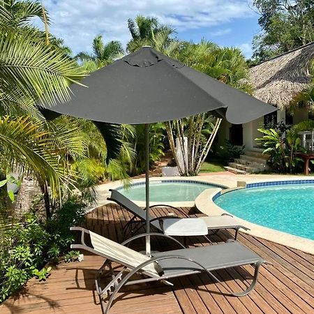 Chalet Tropical Au Coeur De 拉斯特拉纳斯 外观 照片