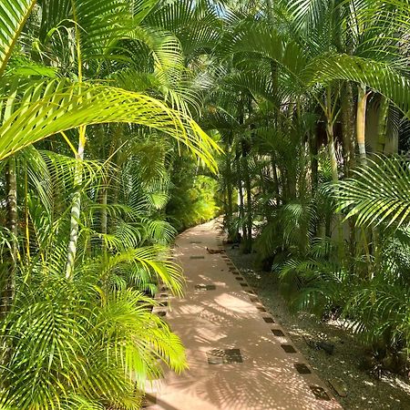 Chalet Tropical Au Coeur De 拉斯特拉纳斯 外观 照片
